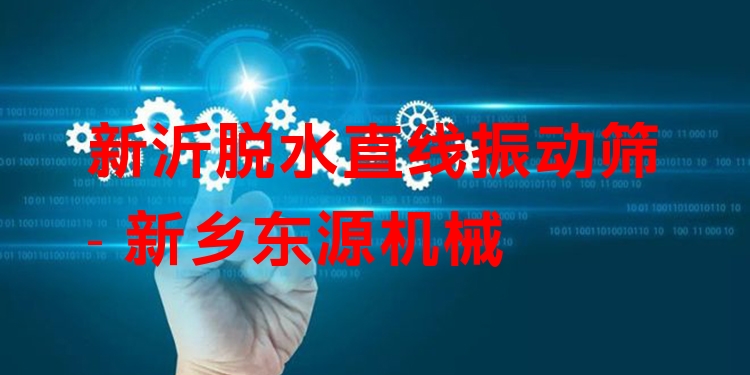 新沂脫水直線振動(dòng)篩 - 新鄉(xiāng)東源機(jī)械