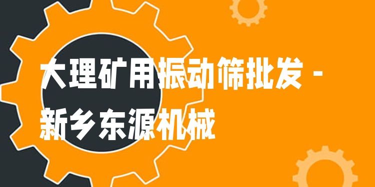 大理礦用振動(dòng)篩批發(fā) - 新鄉(xiāng)東源機(jī)械