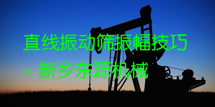 直線振動篩振幅技巧 - 新鄉(xiāng)東源機械