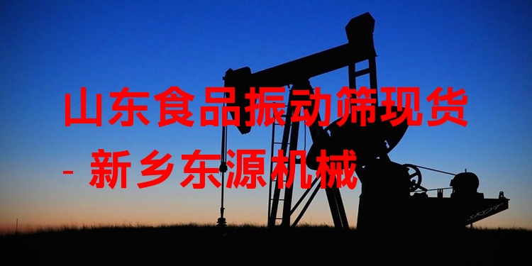 山東食品振動篩現(xiàn)貨 - 新鄉(xiāng)東源機械