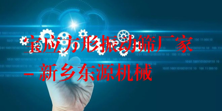 寶應(yīng)方形振動(dòng)篩廠家 - 新鄉(xiāng)東源機(jī)械