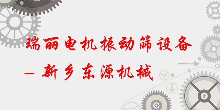 瑞麗電機(jī)振動(dòng)篩設(shè)備 - 新鄉(xiāng)東源機(jī)械