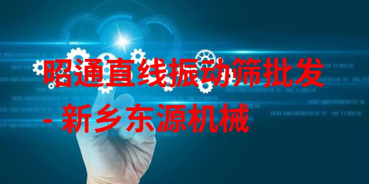 昭通直線振動篩批發(fā) - 新鄉(xiāng)東源機(jī)械