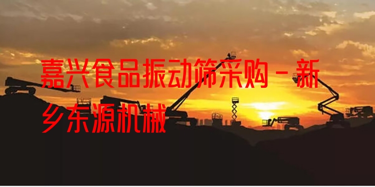 嘉興食品振動(dòng)篩采購(gòu) - 新鄉(xiāng)東源機(jī)械