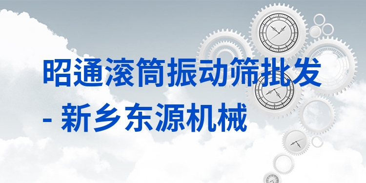 昭通滾筒振動篩批發(fā) - 新鄉(xiāng)東源機(jī)械