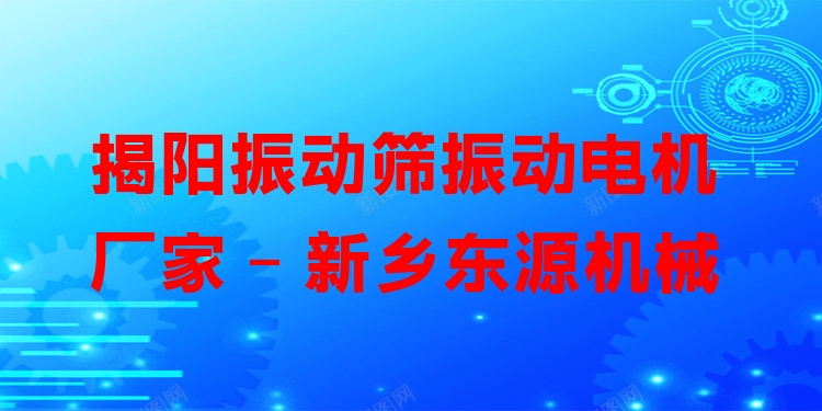 揭陽振動(dòng)篩振動(dòng)電機(jī)廠家 - 新鄉(xiāng)東源機(jī)械
