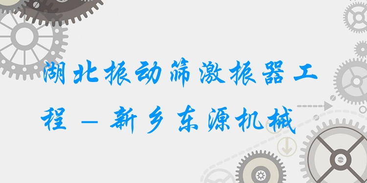 湖北振動篩激振器工程 - 新鄉(xiāng)東源機(jī)械