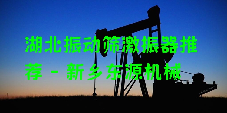 湖北振動(dòng)篩激振器推薦 - 新鄉(xiāng)東源機(jī)械