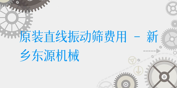 原裝直線振動篩費用 - 新鄉(xiāng)東源機械