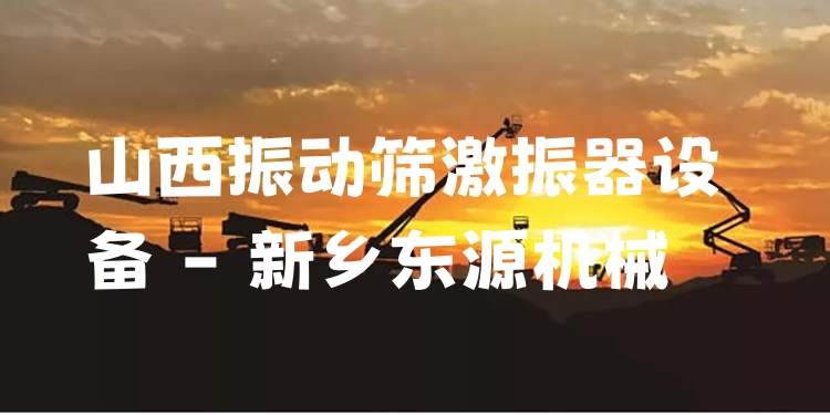 山西振動篩激振器設(shè)備 - 新鄉(xiāng)東源機(jī)械