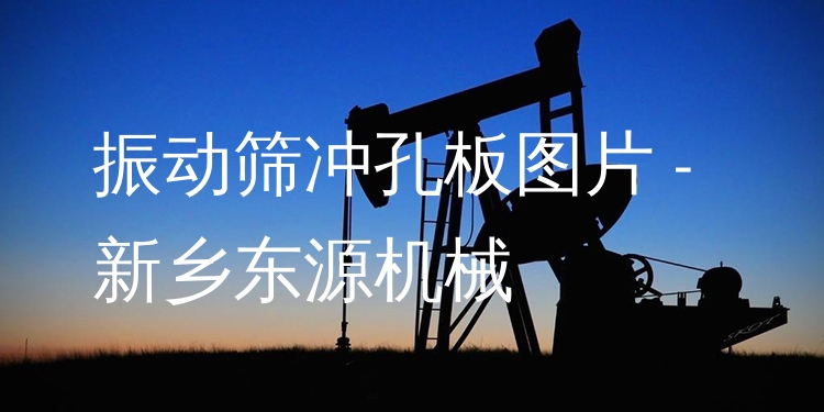 振動篩沖孔板圖片 - 新鄉(xiāng)東源機械