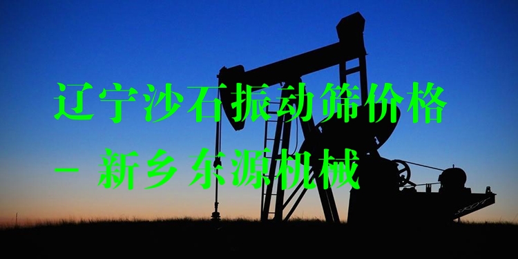 遼寧沙石振動篩價格 - 新鄉(xiāng)東源機(jī)械