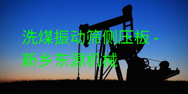 洗煤振動篩側(cè)壓板 - 新鄉(xiāng)東源機械