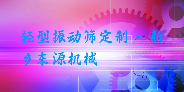 輕型振動篩定制 - 新鄉(xiāng)東源機械
