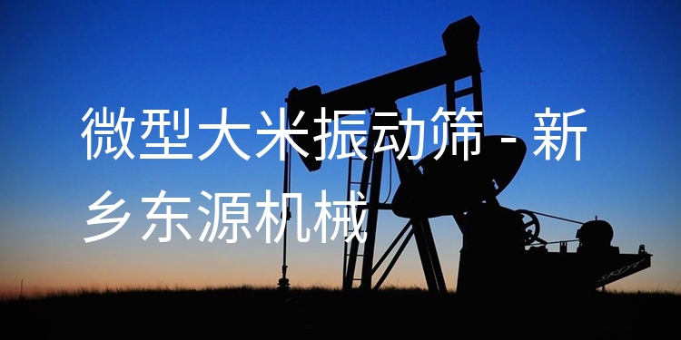 微型大米振動(dòng)篩 - 新鄉(xiāng)東源機(jī)械