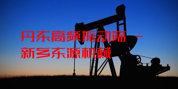 丹東高頻振動篩 - 新鄉(xiāng)東源機械